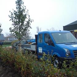 Hoveniersbedrijf Ben's Boom & Tuin