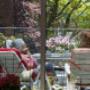 Locatie Oranjestein Stichting Pro Senectute
