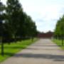 onderhoud bedrijftuin
