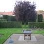 onderhoud en snoei particulier