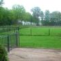 herkwerk beplanting haag/bomen