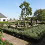 tuin aanleg en onderhoud