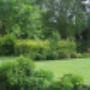 meerjaren onderhoud park