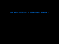 Bouw Pico