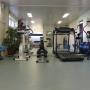 Fysiotherapie M van Asten Vanderfeesten M