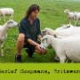 Groene Weg De