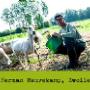 Groene Weg De
