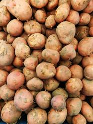 Noorloos Aardappel en Eierhandel
