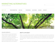Marketing Alternatives