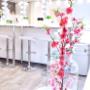 Makeupboost Studio Amsterdam
