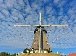 Molen 'De Duif'