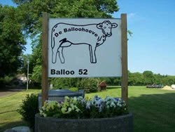 Zorgboerderij De Balloohoeve