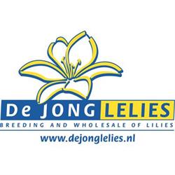 De Jong Lelies Holland B.V.