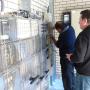 Meterkasten aanpassen 1000 Amp