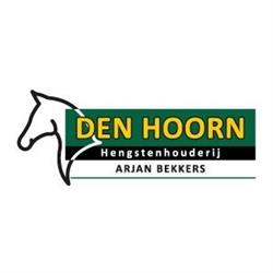 Hengstenhouderij Den Hoorn