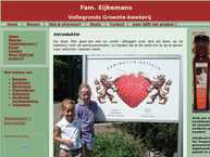 T.G.L.M. Eijkemans