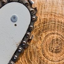 Teunissen Boomrooierij en Houthandel