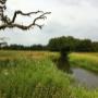 Herberg De Fazant