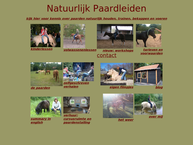 Natuurlijk Paardleiden