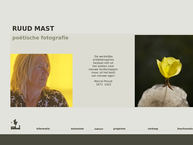 Ruud Mast