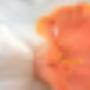 Aker BV Bloembollenexport P