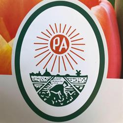 Aker BV Bloembollenexport P