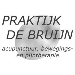 Acupunctuurnijmegen.nl Praktijk de Bruijn