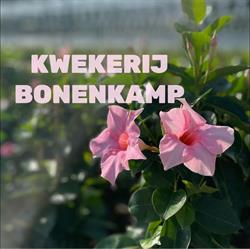 E. Leenders Kwekerij Bonenkamp