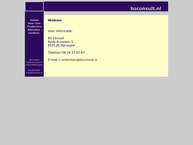 BS Consult