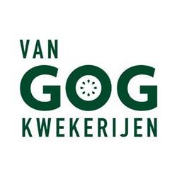 Van Gog Kwekerijen