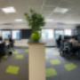 Software afdeling
