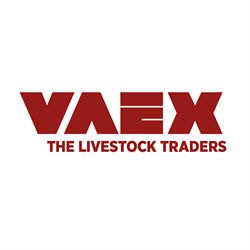 Vaex Group B.v.