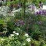 Kleurrijke tuin LipsGroen