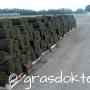 graszoden noord Brabant