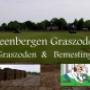Steenbergen Graszoden Vinkel