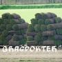 graszoden op rol
