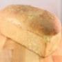 Sonneveld BV Brood- en Banketbakkerij