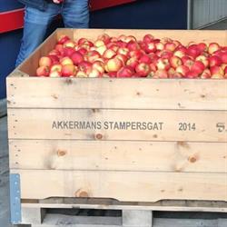 Fruitteeltbedrijf Akkermans