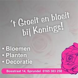 Konings bloemen&planten