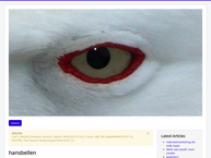 Mouettes