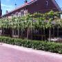 Café Schuttershof