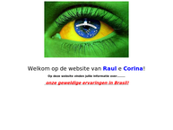 Website van Arise B.v. 
