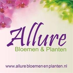Allure Bloemen en Planten
