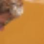 Zand G H M vd