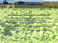 Boomkwekerij Paul Vergeer
