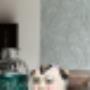 Hombergen Decokay