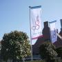 Arnold Verwiel BV