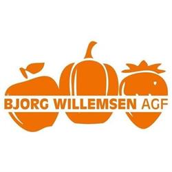 Bjorg Willemsen AGF