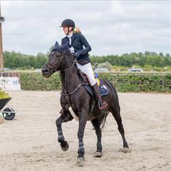 Stoeterij - Zorgboerderij Csi Stables