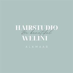 Studio Welini